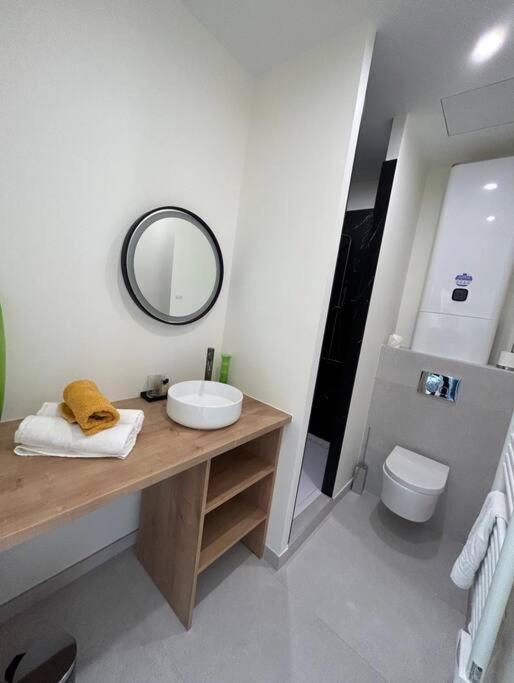 Le Studio Jardin D'Eden Metro Palais De Justice Apartment Toulouse Luaran gambar